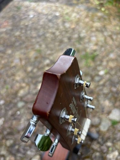 Takamine G320-NS