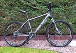 ladies mtb