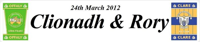 Birthday/special event plates number plates