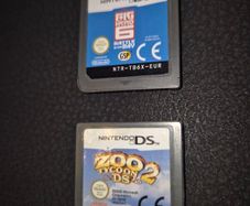 Nintendo DS Game