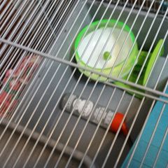 Hamster Cage