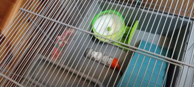 Hamster Cage