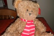 Cuddly Christmas Bear for Sale