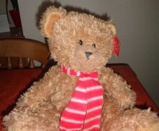 Cuddly Christmas Bear for Sale