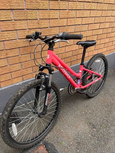 girls bicycle ridgeback