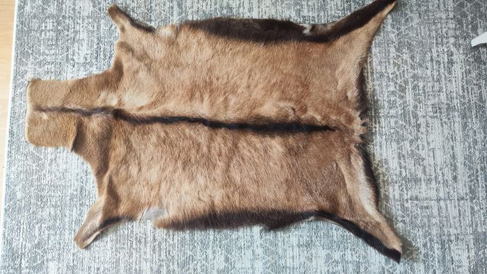 Genuine deer hide rugs