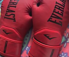Everlast Boxing gloves 10oz