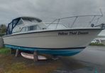 Chris Craft Catalina 29ft