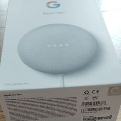 Google Nest Mini Working perfectly