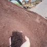 Sand: building,plastering,white,gold,white cement Image 9