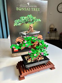 LEGO Bonsai Tree 10281 - Complete with Box & Booklet