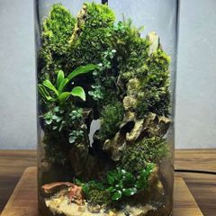 Terrarium