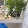 interior fake greenery Image 2