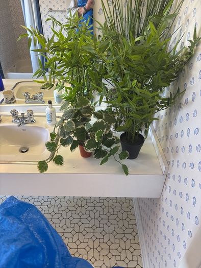 interior fake greenery