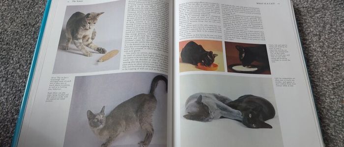Encyclopedia of the cat