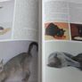 Encyclopedia of the cat Image 3