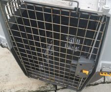 Dog box V Large