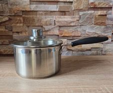 Stainless Steel Saucepan