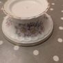 Tara Bone China Image 3