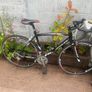 Ridley 7005 racing 30 speed 700x25c wheels 19.5 inch frame very good condition shimano tiagra group set Image 7