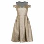 Coast Jiana Metallic Bardot Gold Dress Image 6