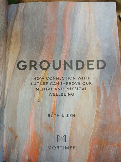 Grounded - Ruth Allen