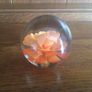 A pair of floral clear glass paperweights Image 3