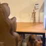 Desk table + office chair Image 2