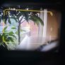 Minolta Hi-Matic F (1972) 35mm Rangefinder Film Camera (Serviced & Calibrated) Image 9