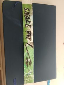 Metallica snake pit pass