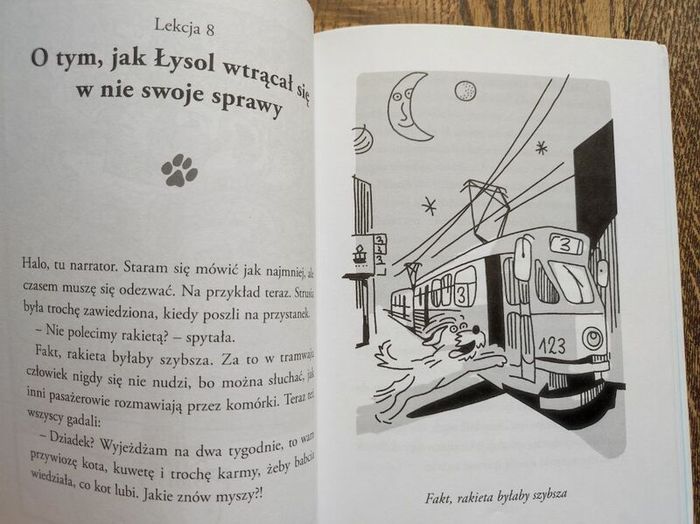 Polish Children's Book, Age 6+