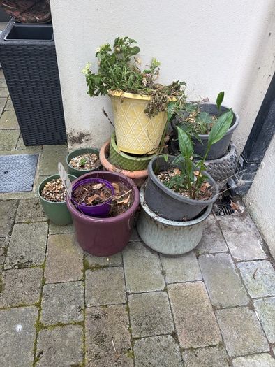 flower pots