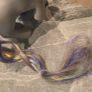 Ringlets Brush N Grow MLP G1 My Little Pony Image 3