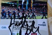 Former clare hurler Anthony daly signed ticket