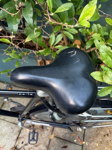 Gazelle Bike