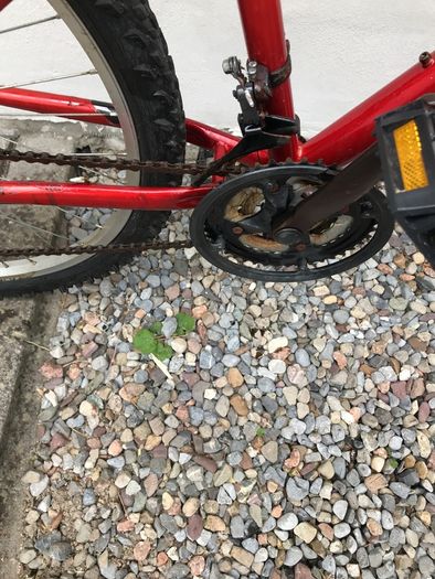 bike