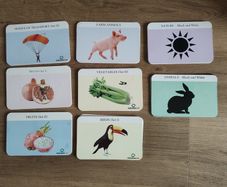 80-100 Flash Cards for cognitive development (babies)