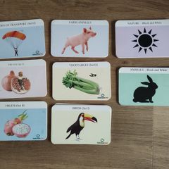 80-100 Flash Cards for cognitive development (babies)