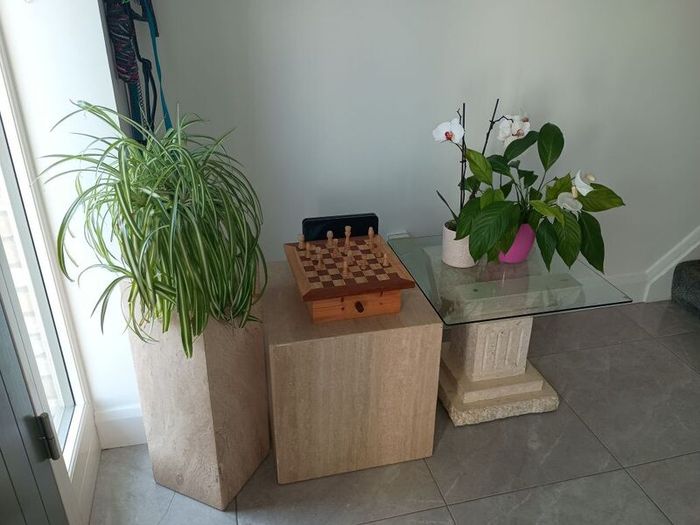 Small Mantle Coffee Table with 2 display units