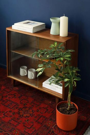 Mid Century Glazed Side Cabinet