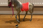 Our generation horse