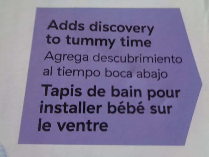 Baby Einsteion Opus of Discovery for Sale