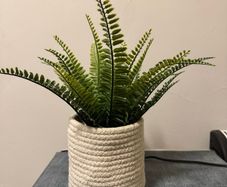 Basket - pot