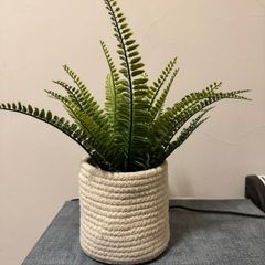Basket - pot
