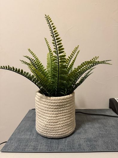Basket - pot