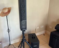 Fishman sa330x