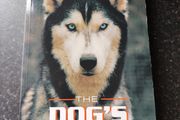 The Dogs Mind