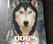 The Dogs Mind