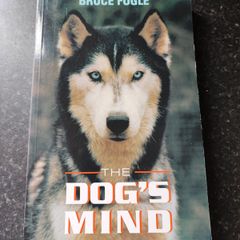 The Dogs Mind