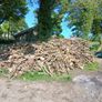 fire wood ,tree cuts ,split logs . Image 6